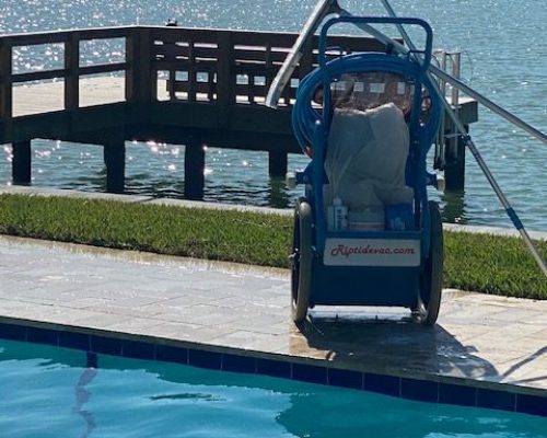 We are the Best Rated Pool Service Company in Citrus Park